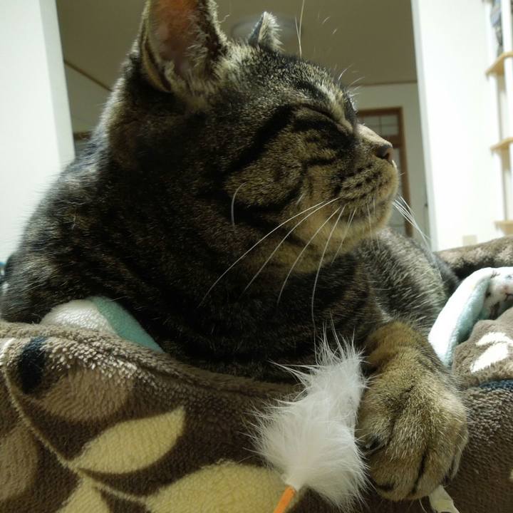 8da7bf85 6a7f 4b4a 9ac6 2987dc93dc8b