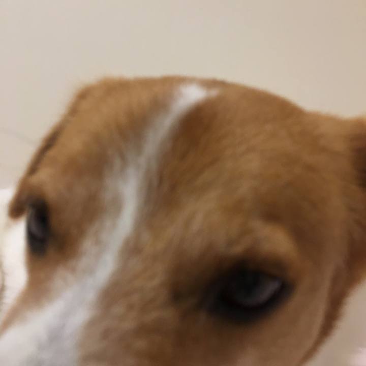 8da84ad8 21c2 4b5e a68a bd690c51c721