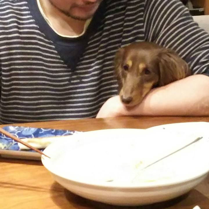 8da87e49 8c54 4f67 b1f8 9f426d6ad05a