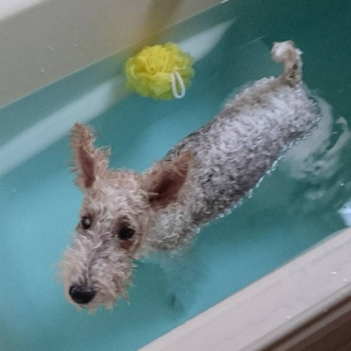 8da8a1f3 8372 49c7 a6f1 4b683ecf2125