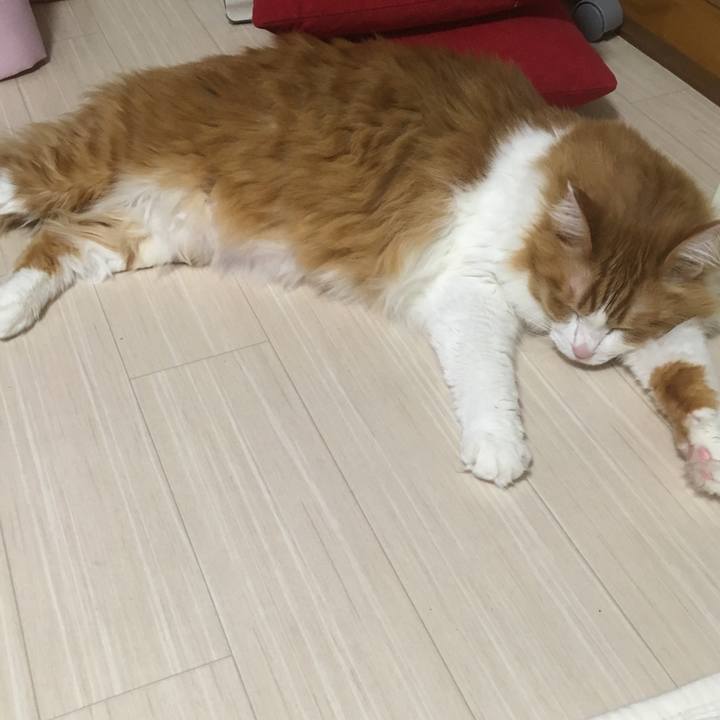 8da8d3e3 f853 4d8f bb57 5c0b79a1f3f9