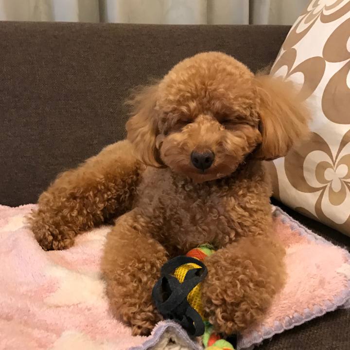 8da8da64 42cf 408c b0ab 6969629692c1