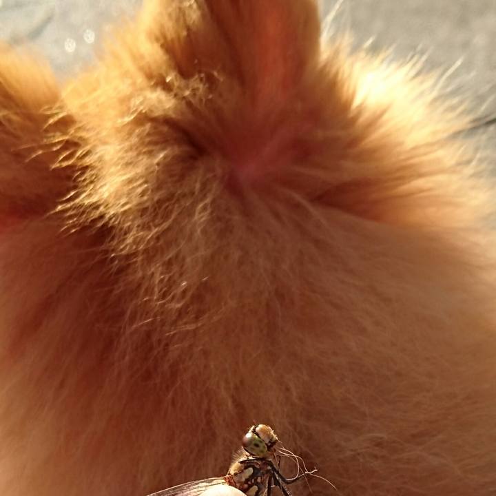 8da8f791 dda7 4c45 9647 fb6f0af6d651