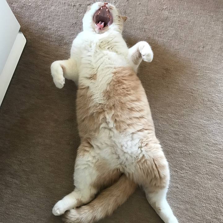 8da9ab4b a367 492e 96f7 96f1c0de8b47