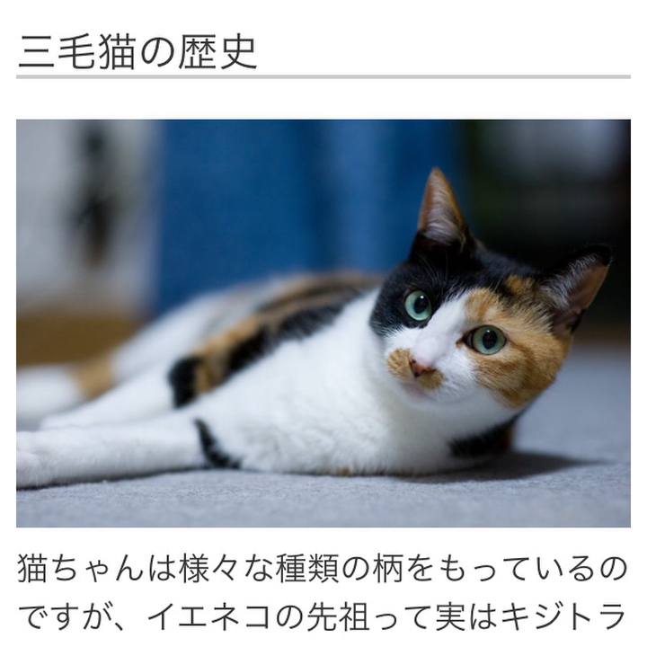 8da9b52e 068d 47bc ac22 c9ebc2cc9dbc