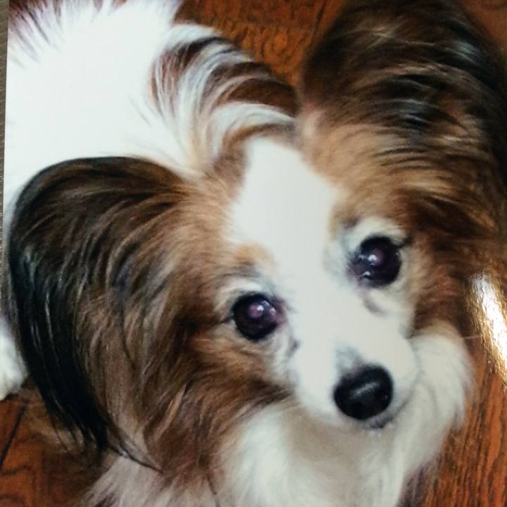 8da9ce38 3d42 43ff b6d2 0c766ee9ee25