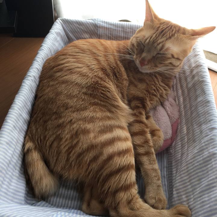 8da9ffb0 7c8f 43a7 ab37 0693eef83c7a