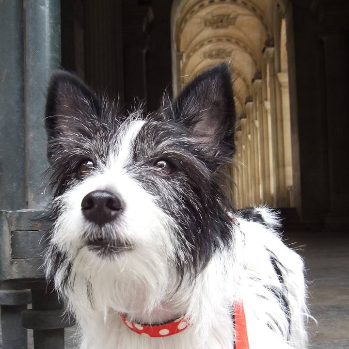 8dab30cb 5569 4c63 a539 7339bbe01d77