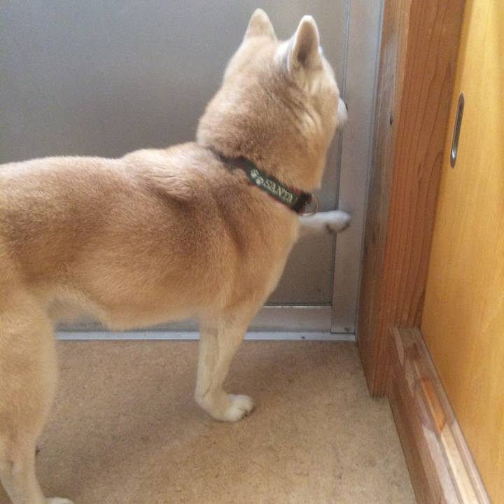 8dab6cb7 be97 49a2 a511 80dfbba8ea14