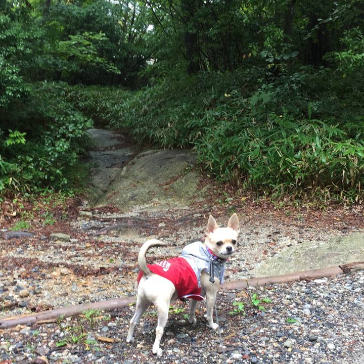 8dab7b12 d26a 41cb 8ef9 98a825aae8a4