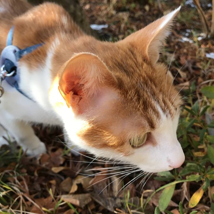 8dab8e14 4a7e 469d 86a4 2192d982d2ce