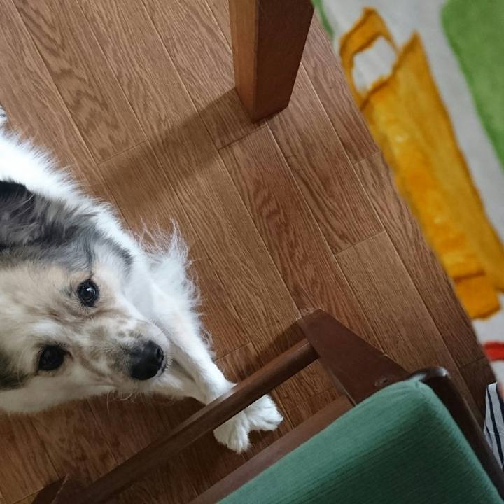 8dabcf32 225b 4a25 9510 92163ad59d00