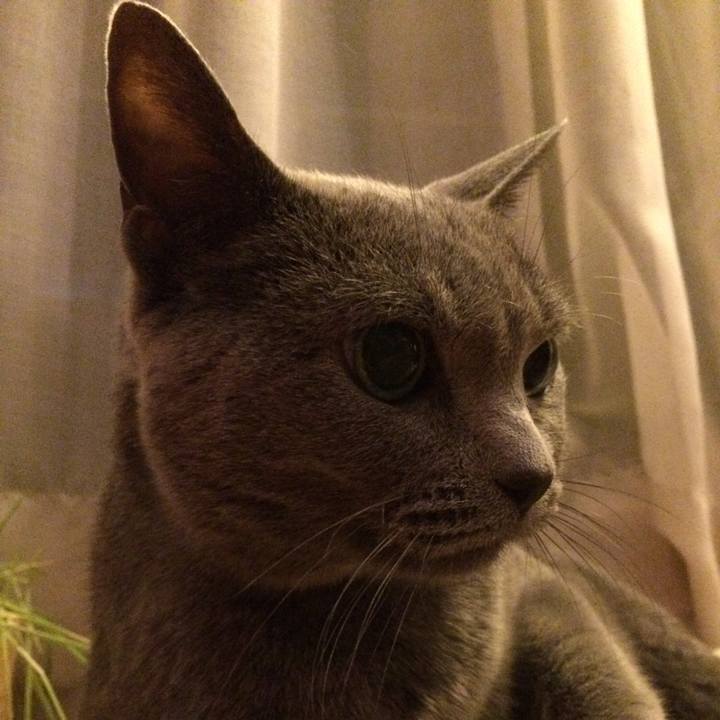 8dac0248 c844 4c34 8502 6031c86abfaf