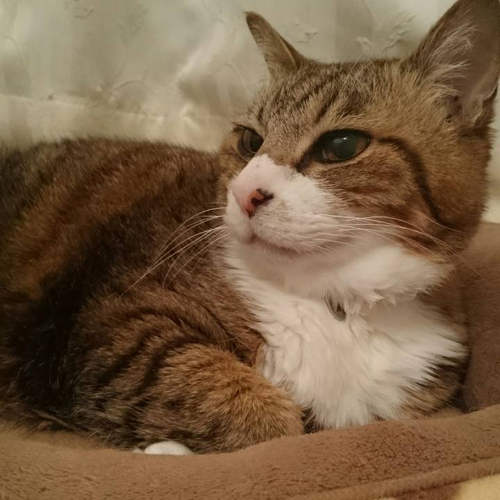 8dac6c29 fd63 45ae b7a1 2218984ecd63