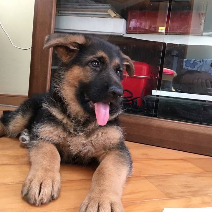 8dac8a80 b4ef 4d5e b3c9 2ae6a84573e6