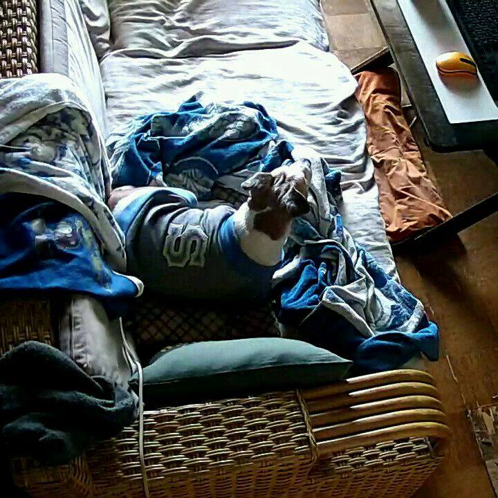 8dacbd24 570c 4ff4 af2a 2aa7bd2befc4