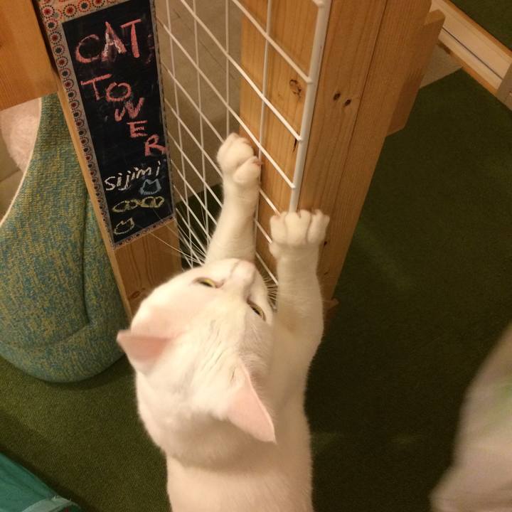 8dad1638 dfe6 491e 824a 0082c8d82543