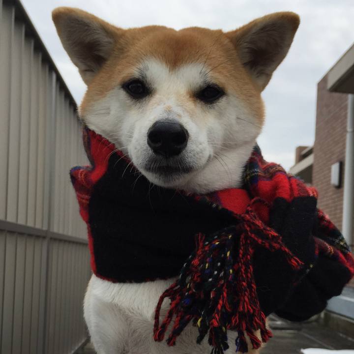 8dad9c2d 95f8 4490 9171 999a526e0b64