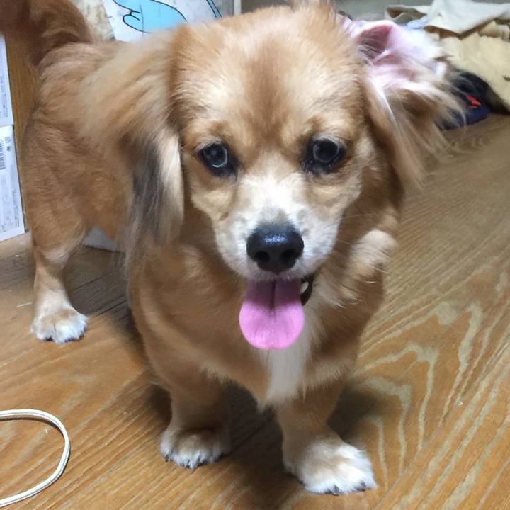 8dae27a0 ac50 4691 8dde e4ab441c5ad1