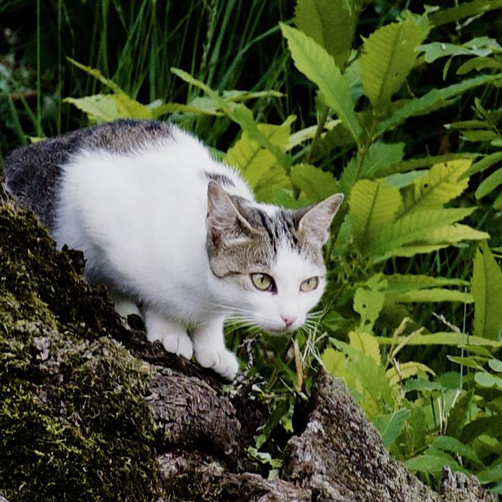 8dae4428 07ee 4098 80c4 d5fa55793201