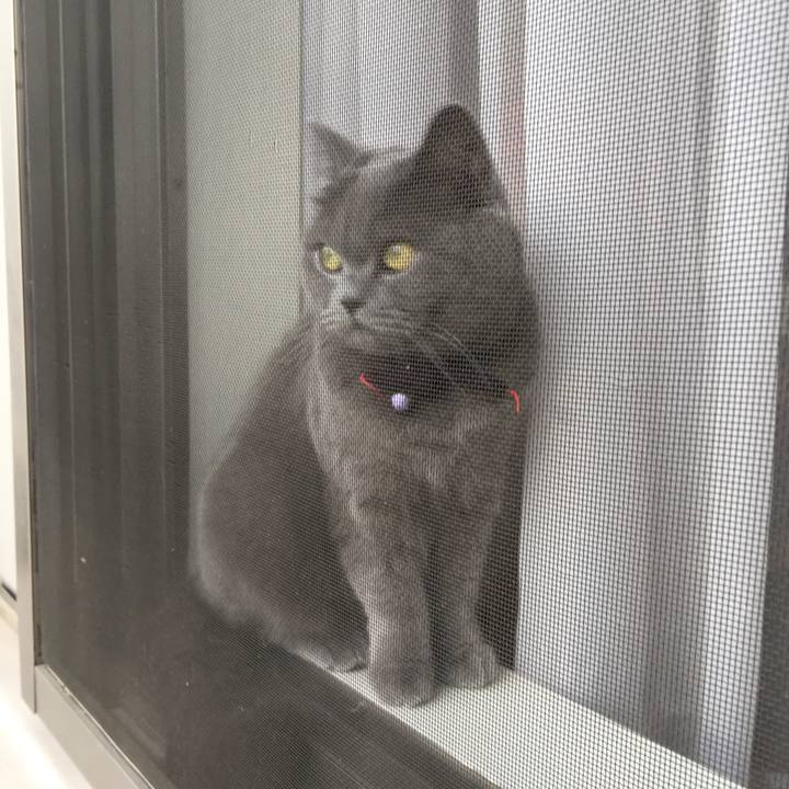 8daec193 437a 45c5 b763 eee69c09a201