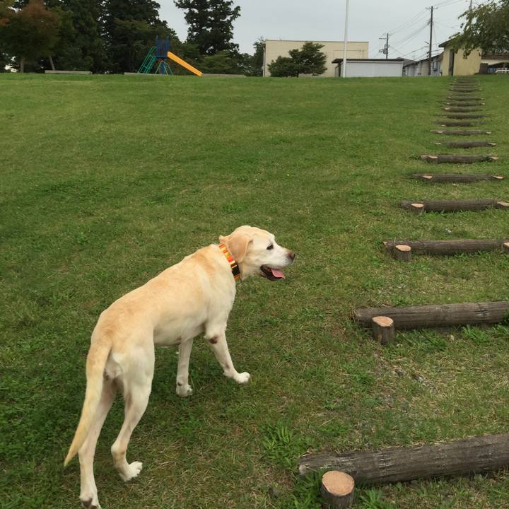 8daf6a37 3e10 4e91 b984 f14d66cd023a