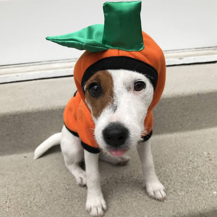 8db05fe0 4496 4469 8024 b2c493b37711