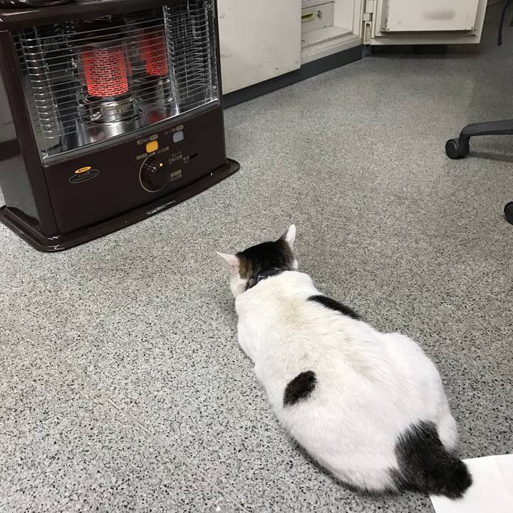 8db11441 9cff 48d1 ad6d dc7a614317d7