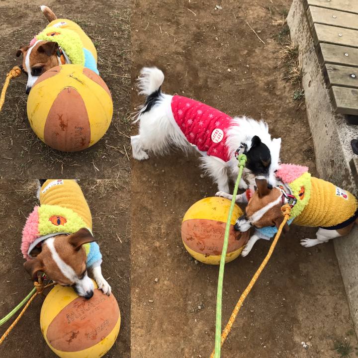 8db18321 b360 4c83 b42b 818113af28c5