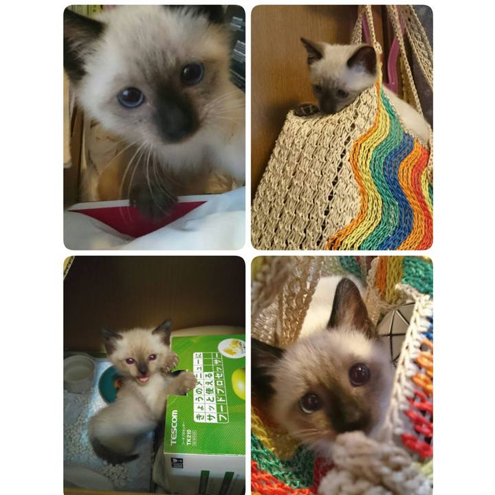 8db19fdb e9bd 4ad9 ac22 f1443b2421d6