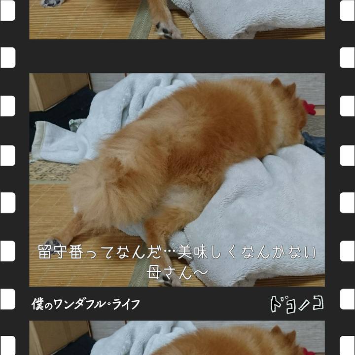 8db1ad9f cdba 410d a723 ac252503af47