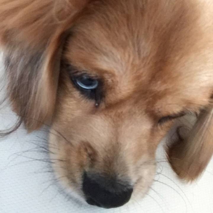 8db1fcd9 8a4e 4848 8b96 a0ea2972409d