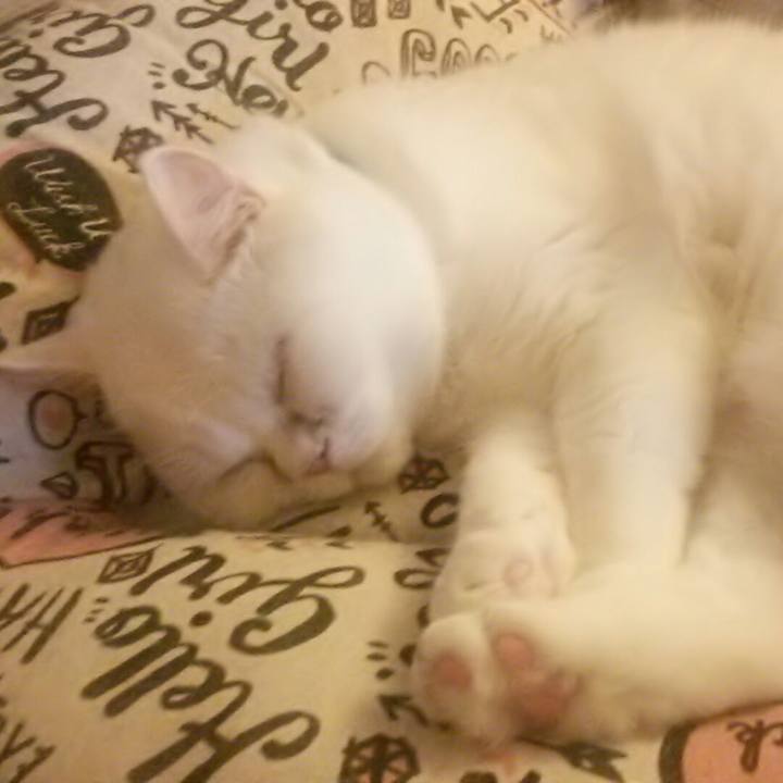 8db25b7c 58d9 4d5c b243 974d4bf5ae5c