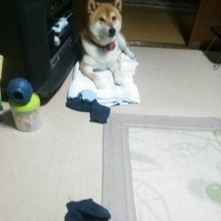 8db26fbd 2e75 42e4 849e 60c6eaca07f1