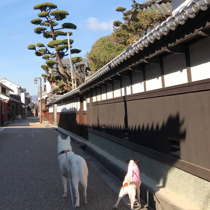 8db40eda 8d0e 481a b07b 36df592c767b