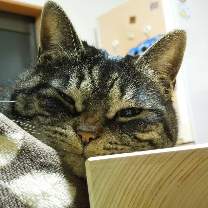 8db449b2 a33a 4e75 bf0d 5edd42377e61