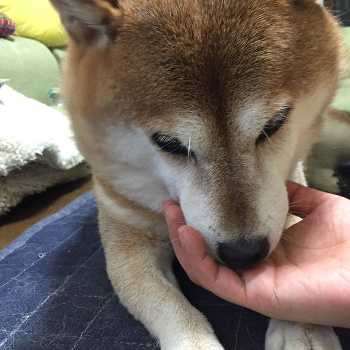 8db50d96 c731 4735 930a 8e6dce469eb5