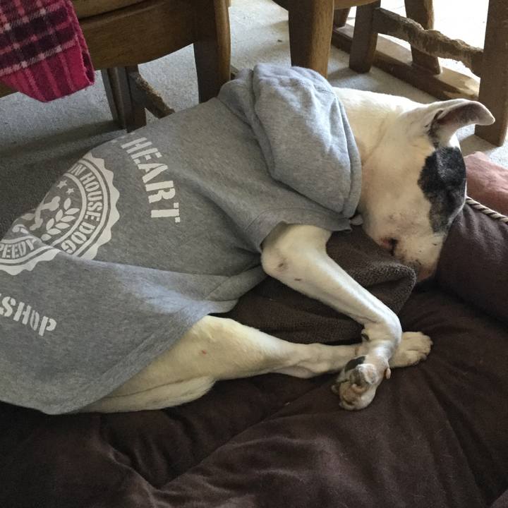 8db52109 d3b7 41c1 832f 6c7e3729fc3f