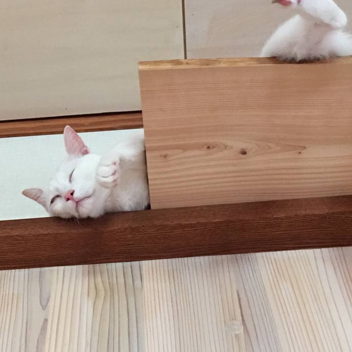 8db579b4 3587 4265 995d b396cfe993dc