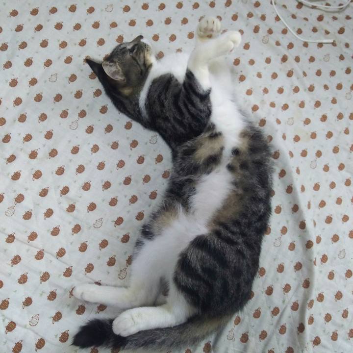 8db6329a 516f 4b46 b78c 43f31ae16949