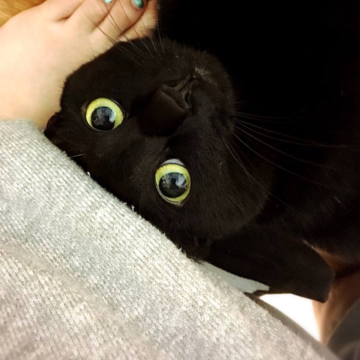 8db6720f ca8a 4efe 82af 9501e8309d12