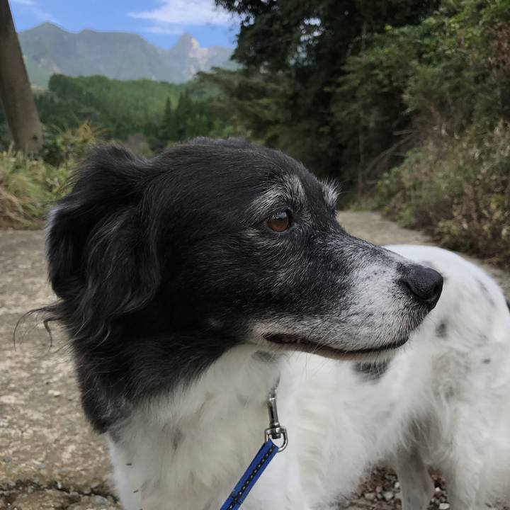 8db6cdb2 6516 4c49 a0c6 d77de9c138dc