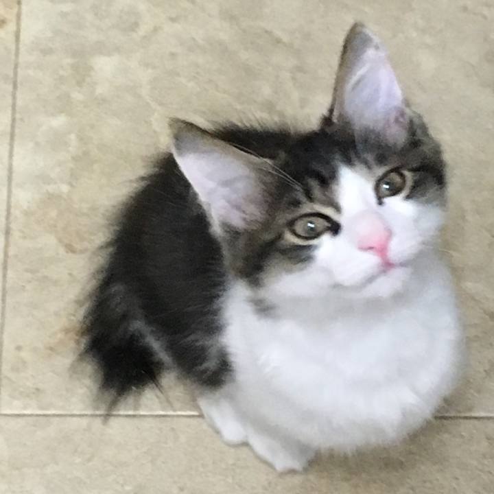 8db6dc44 7779 41e6 93d4 80da100179f0