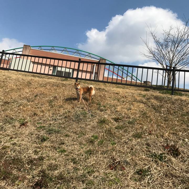 8db70802 aaf9 48c1 a00d 98b042f5c8cf