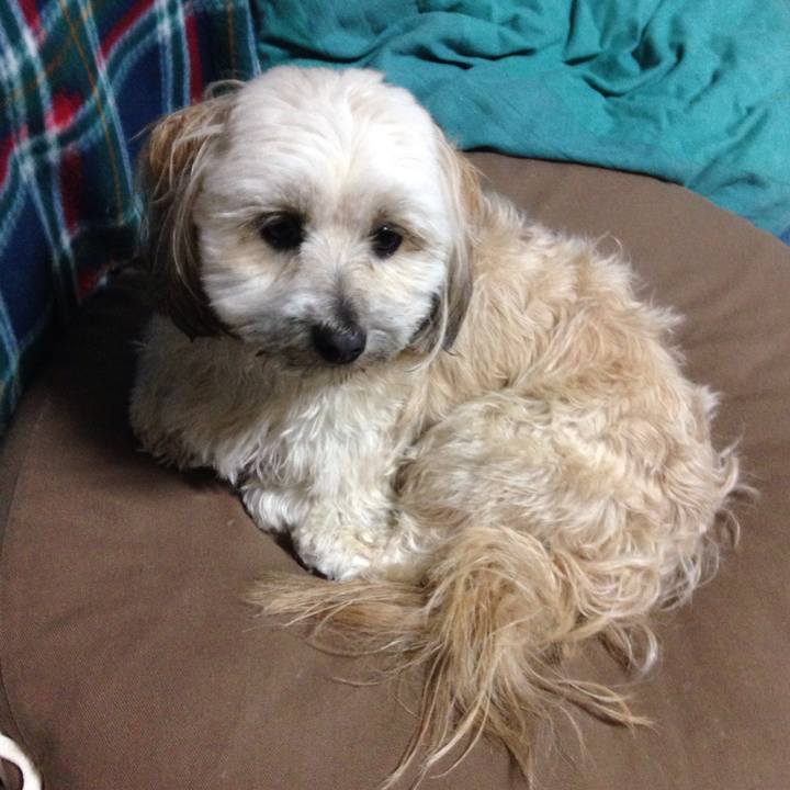 8db70d3e 6241 49a7 a918 4c81eb20b628