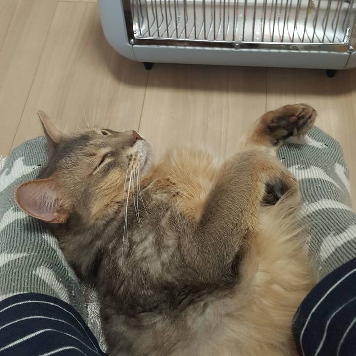 8db7254b 52e4 4727 a0e3 68a1357b7d8a