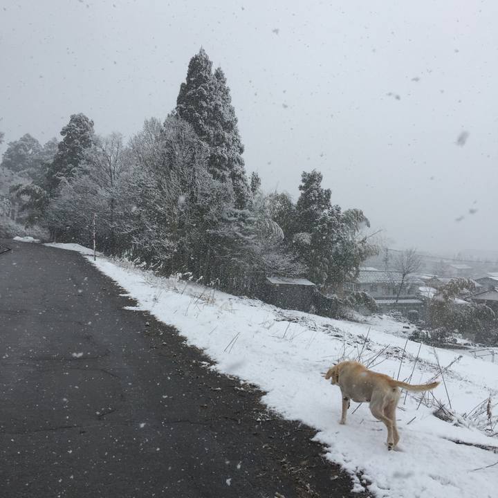 8db735f4 80fc 44a1 ad14 019ebcfdf606