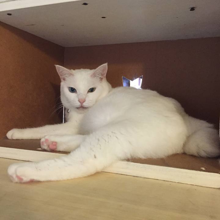 8db7fc0b 6a2f 4799 9888 0f51b2f5a7b6