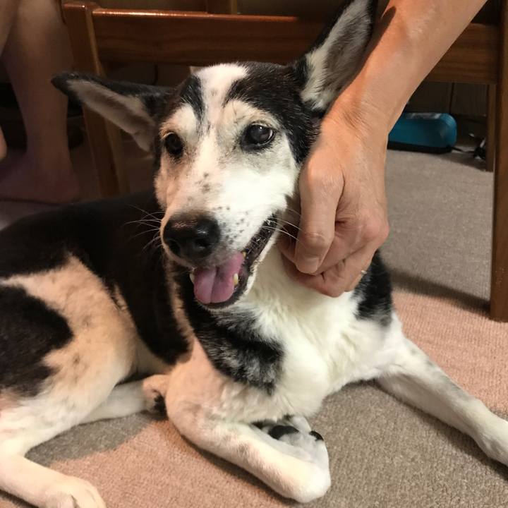 8db801e6 8643 439f a1ef 80f9712f1683