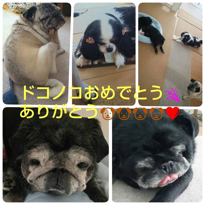 8db83c72 1f27 4018 953f 3ae53642257e